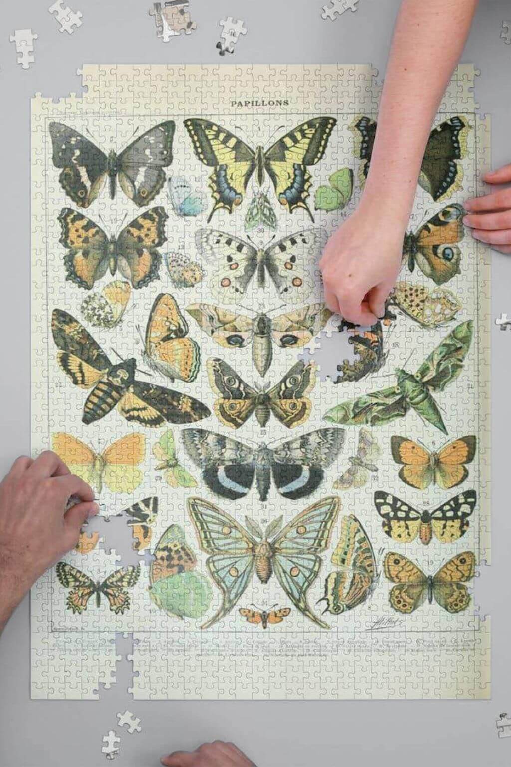 PAPILLONS | Adolphe Millot Butterflies Jigsaw Puzzle - 1000 Piece