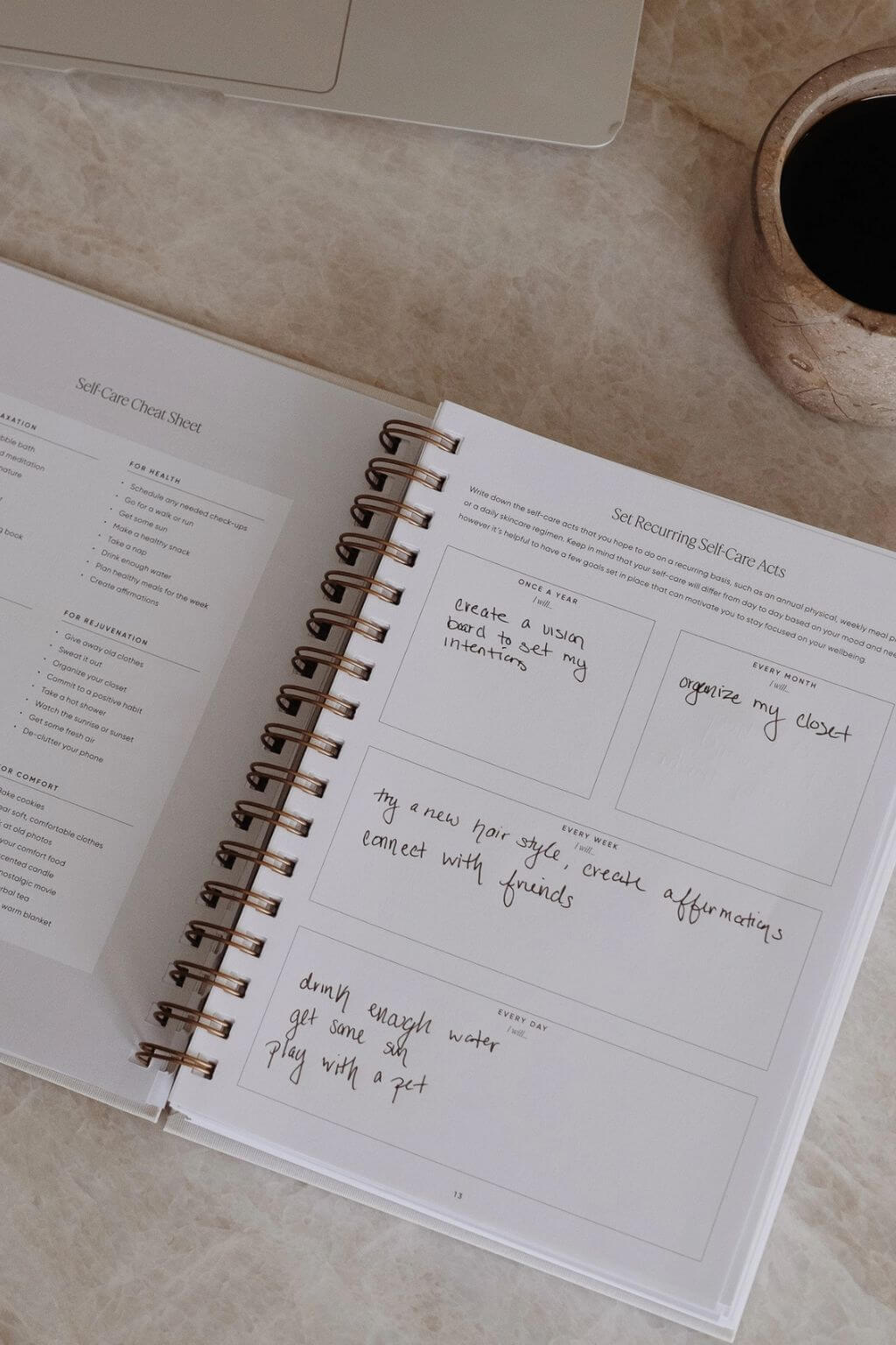 The Self Care Planner, Daily Edition, Dusty Rose