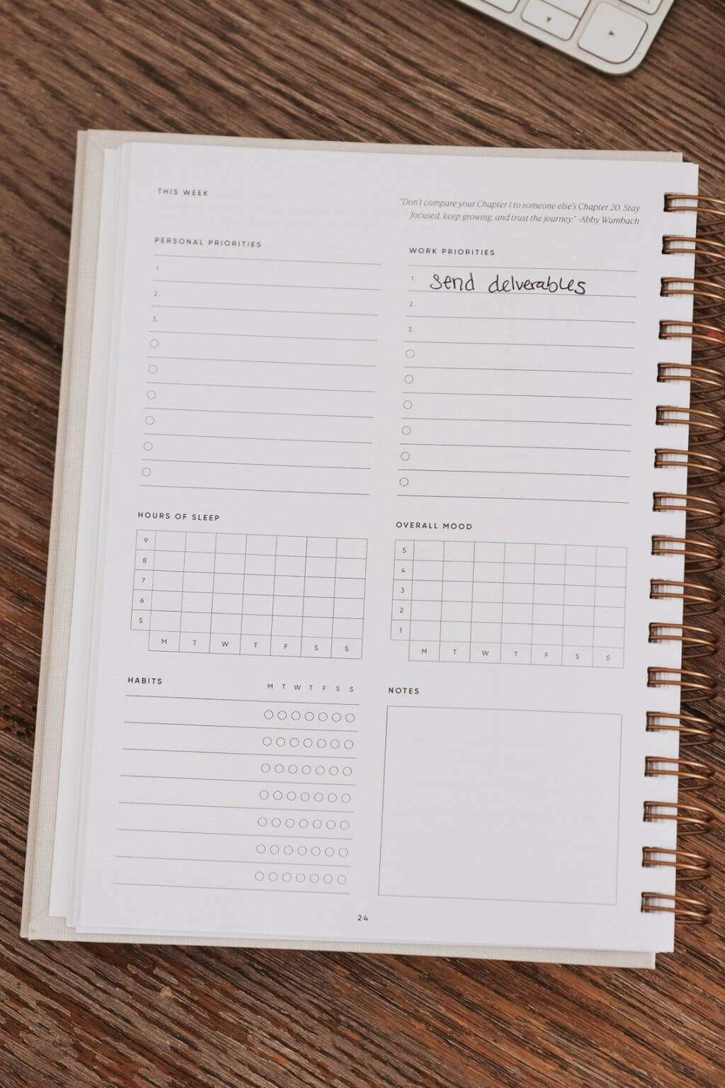 The Self Care Planner, Daily Edition, Dusty Rose