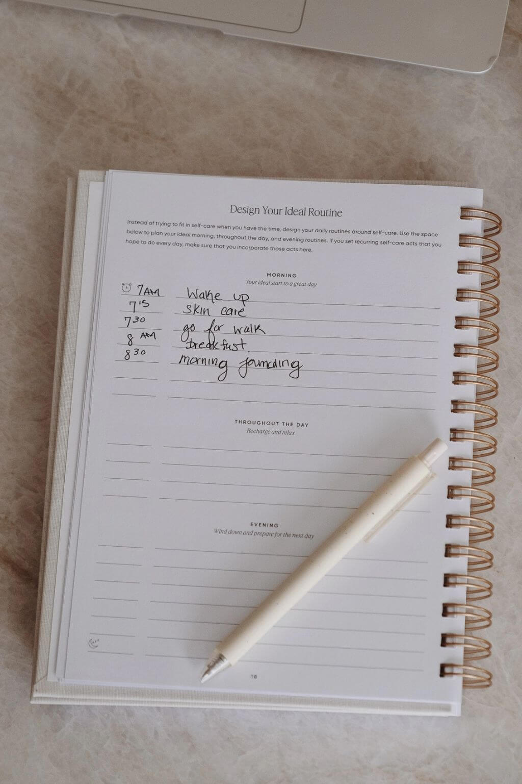 The Self Care Planner, Daily Edition, Dusty Rose