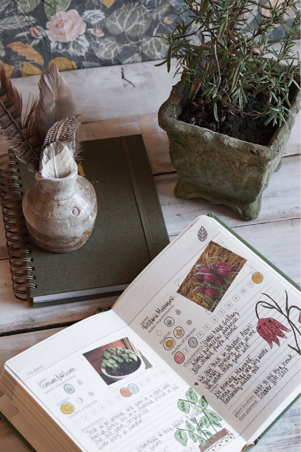 My Gardening Handbook | a Journal for Garden Plans, Dreams + Recipes