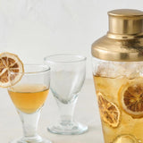 Petite Pebbled Glass Cocktail Shaker
