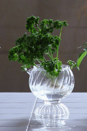 ReGrow Veggie Borosilicate Glass Hydroponic Vase