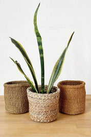 Foliage Storage Plant Basket Set of 3 | Fair Trade + Handwoven