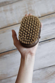 Ash Wood Natural Bristle Dry Brush Andree Jardin