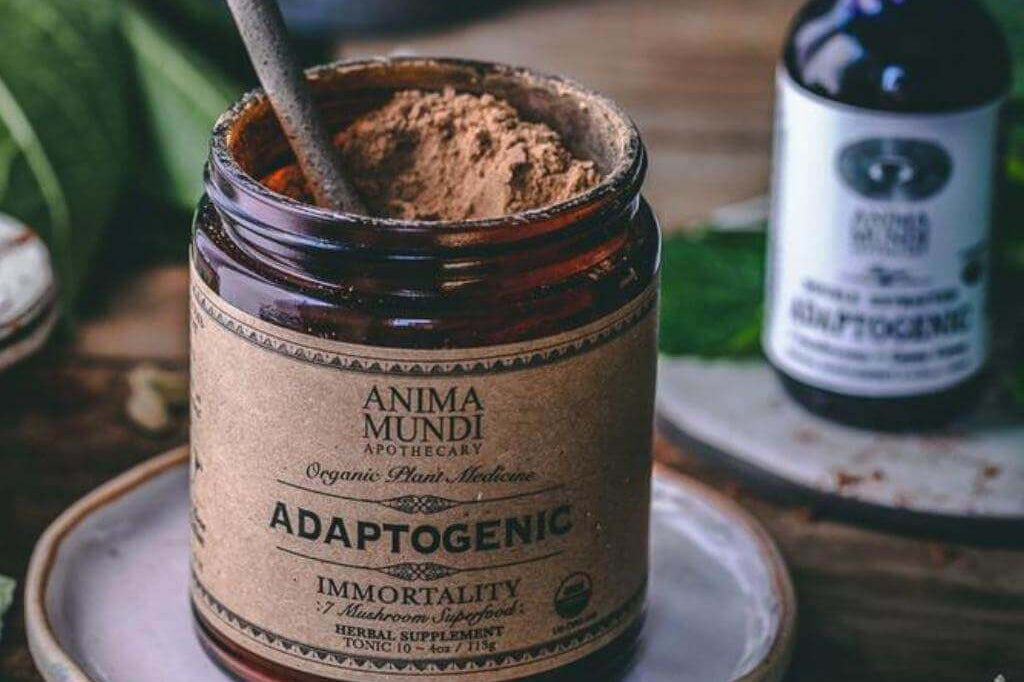 Adaptogenic Powder | 7 Mushrooms + Heirloom Cacao Superfood Anima Mundi Apothecary