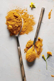 Golden Sun Milk (AM) Cordyceps Chai | Awake + Focused Anima Mundi Apothecary
