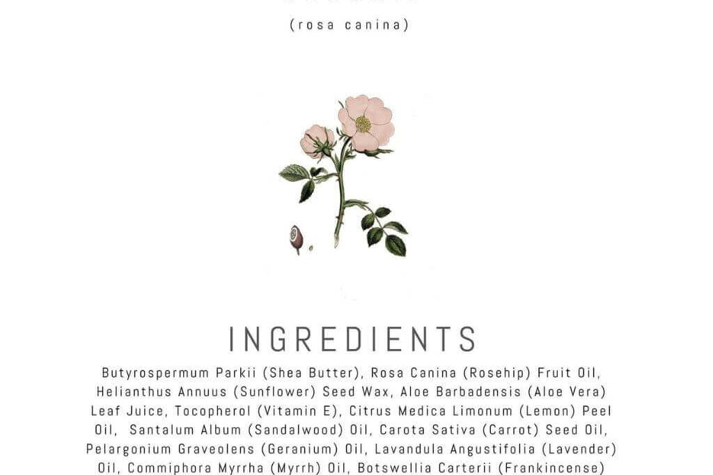 Rosehip Botanical Fading Salve BIOS APOTHECARY