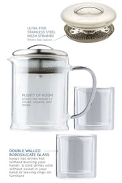 Modern Double Wall Glass Tea Strainer + Tea Cup Set