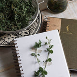 Herbarium Journal | Botanical Specimen Collecting Journal