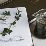 Herbarium Journal | Botanical Specimen Collecting Journal