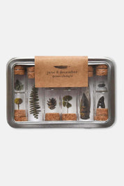 Nature Specimen Collecting Kit