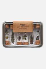 Nature Specimen Collecting Kit