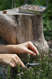 Nature Specimen Collecting Kit
