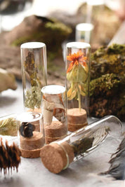 Nature Specimen Collecting Kit
