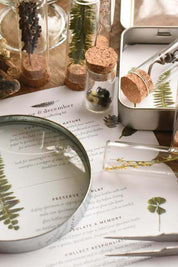 Nature Specimen Collecting Kit