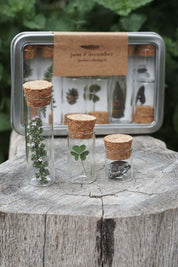 Nature Specimen Collecting Kit