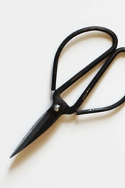 Forged Steel Pruners | All Purpose Scissors