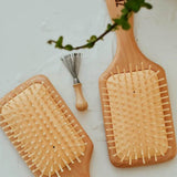 Hairbrush Cleaning Tool